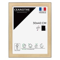 Cadre 30 x 40 Newton Bois Noir  