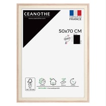 Cadre 50 x 70 Palma Nature      