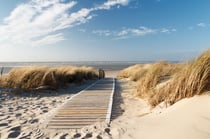 Toile Drection plage - 30X45
