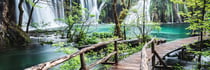 Toile Tropical - 30X97