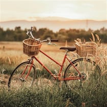 Impression numérique en haute définition Vélo dans les blés - 30X30