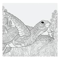 Album photos à colorier - Tortue