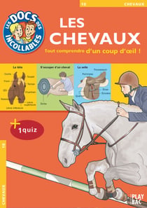 Les Incollables : Les Chevaux - Tout comprendre d'un coup d'oeil !