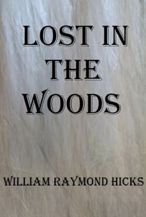 Lost in the Woods - Adventures with Joe, #3