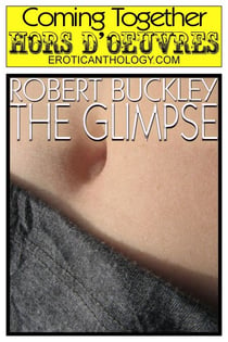 The Glimpse - Coming Together: Hors d'Oeuvres, #24