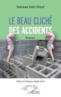 Le beau cliché des accidents - Roman