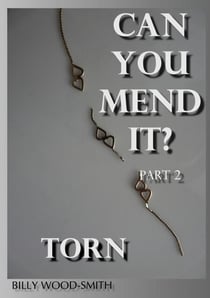 Can You Mend It? Part 2 - Torn - 'Can You Mend It?' Series, #2