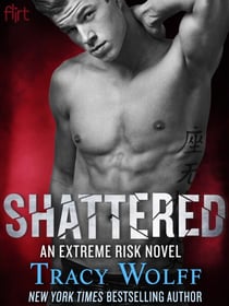 Shattered - An Extreme Risk Novel