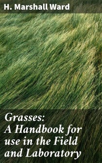 Grasses: A Handbook for use in the Field and Laboratory - A Comprehensive Guide to Grasses: Identifying, Studying, and Understanding Plant Life in the Field and Laboratory