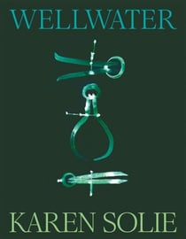 Wellwater - Winner of the T.S. Eliot Prize and the Forward Prize for Best Collection