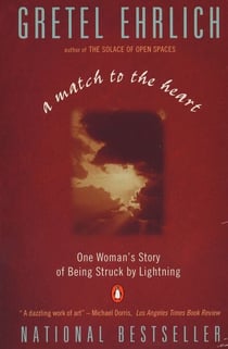 A Match to the Heart - One Woman's Story of Being Struck By Lightning