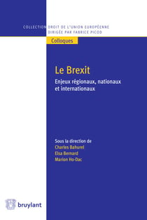 Le Brexit - Enjeux régionaux, nationaux et internationaux