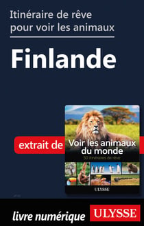 Itinéraire de rêve pour voir les animaux - Finlande