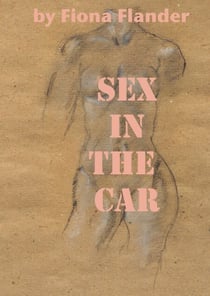 Sex In The Car