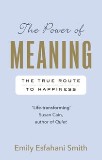 The Power of Meaning - The true route to happiness