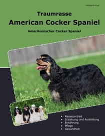 Traumrasse American Cocker Spaniel - Amerikanischer Cocker Spaniel