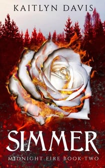 Simmer (Midnight Fire Series Book Two) - Midnight Fire, #2