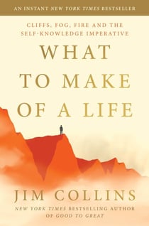 What to Make of a Life - Cliffs, Fog, Fire and the Self-Knowledge Imperative