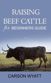 Raising Beef Cattle for Beginner's Guide - Homesteading Freedom