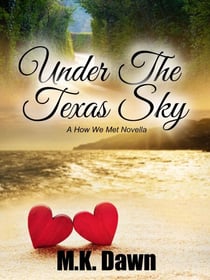 Under the Texas Sky (A How We Met Novella) - How We Met, #1