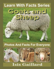 Goats and Sheep Photos and Facts for Everyone - Learn With Facts Series, #120