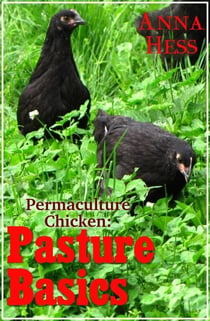 Pasture Basics - Permaculture Chicken, #2