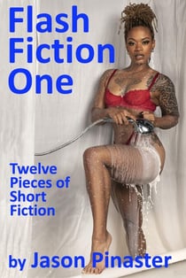 Flash Fiction One:  Twelve Pieces of Short Fiction