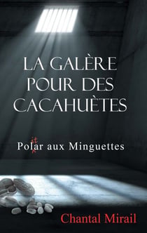 La galère pour des cacahuètes - Pol(it)ar aux Minguettes