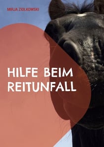 Hilfe beim Reitunfall - Ratgeber