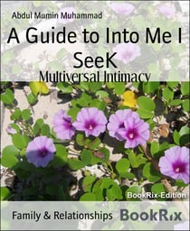 A Guide to Into Me I SeeK - Multiversal Intimacy