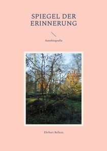 Spiegel der Erinnerung - Autobiografie