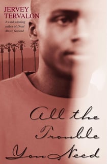 All the Trouble You Need - A Novel
