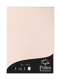 Enveloppes DL Marron kraft Pollen Clairefontaine 11x22cm Invitations
