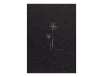Bloc Flying Spirit 19 x 25 cm - 120 feuilles