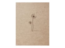 Carnet Flying Spirit 16 x 21 cm - 120 feuilles