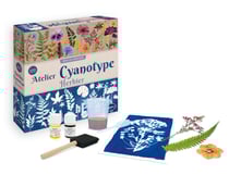 Atelier cyanotype herbier - Sentosphère