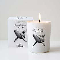 Bougie végétale parfumée La Chandelière - Animal totem Baleine - 180g