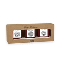 Lot de 3 bougies rituel La Chandelière - Méditation / Fleur de Vie / Arbre de Vie - 90g