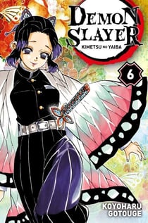 Demon Slayer T06