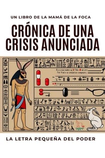 Cro´nica de una Crisis Anunciada