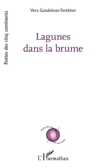 Lagunes dans la brume