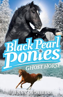 Ghost Horse - Book 6