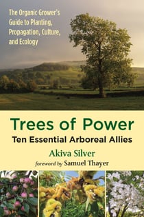 Trees of Power - Ten Essential Arboreal Allies
