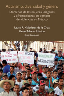 Activismo, diversidad y género - Derechos de las mujeres indígenas y afromexicanas en tiempos de violencias en México