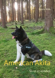 American Akita - So ist er wirklich