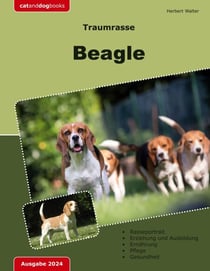 Traumrasse: Beagle - Jagdhund - Familienhund - Traumhund