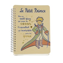 Notebook Enesco - Le Petit Prince cape épée