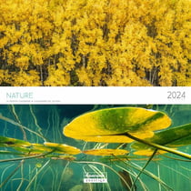 Calendrier mensuel - 2024 - Aquarupella - 16 mois - Epices - 300 x