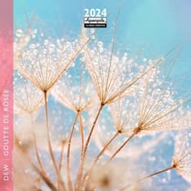 Calendrier mensuel - 2024 - Aquarupella - 16 mois - Jardins - 300 x 300 mm