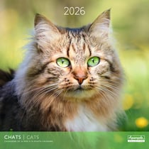 Calendrier 2026 Pictura - Chat - 30 x 30 cm